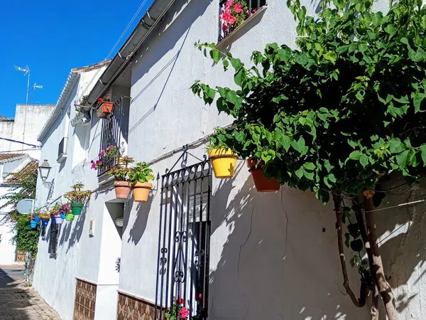 Casa o chalet independiente en Calle Ramón y Cajal, 24, Centro - Foto 1
