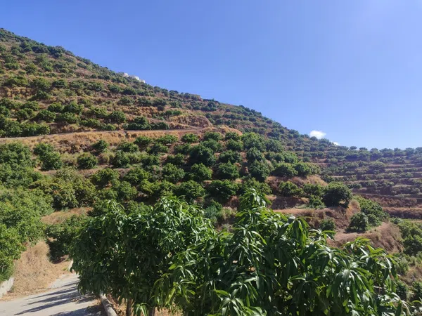 Cortijo en Cortijo en Camino de Río Seco, 36, El Rescate - Río Seco, El Rescate - Río Seco - Foto 18