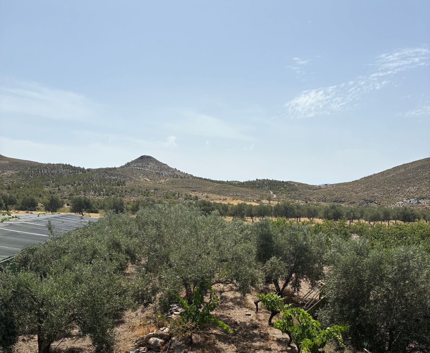 Cortijo en Cortijo en A-1178 s/n - Foto 22