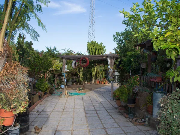 Casa rural en Calle Cerro Marcelo s/n - Foto 3