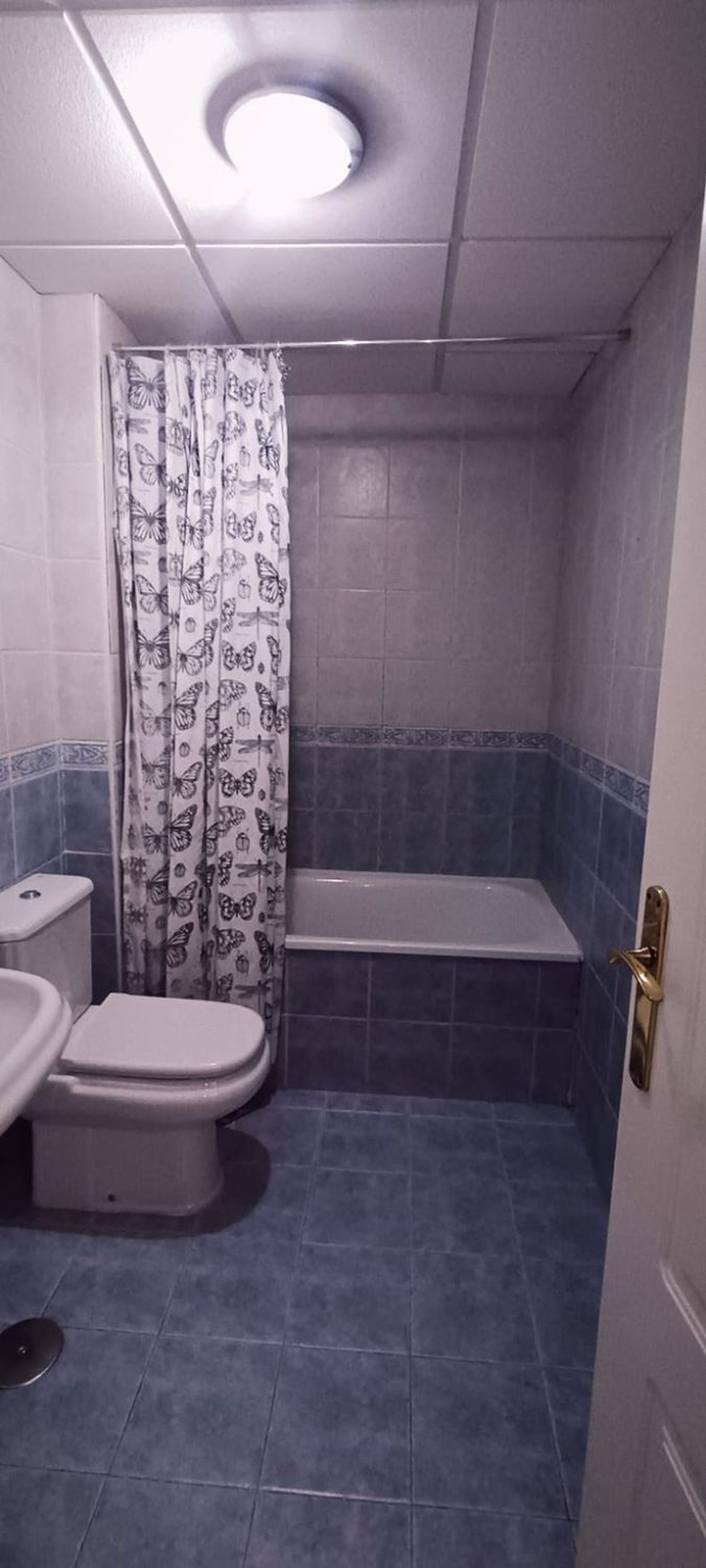 Piso en Calle Francisco Tomás y Valiente, 3, El Tejar - Hacienda Bizcochero - Foto 39