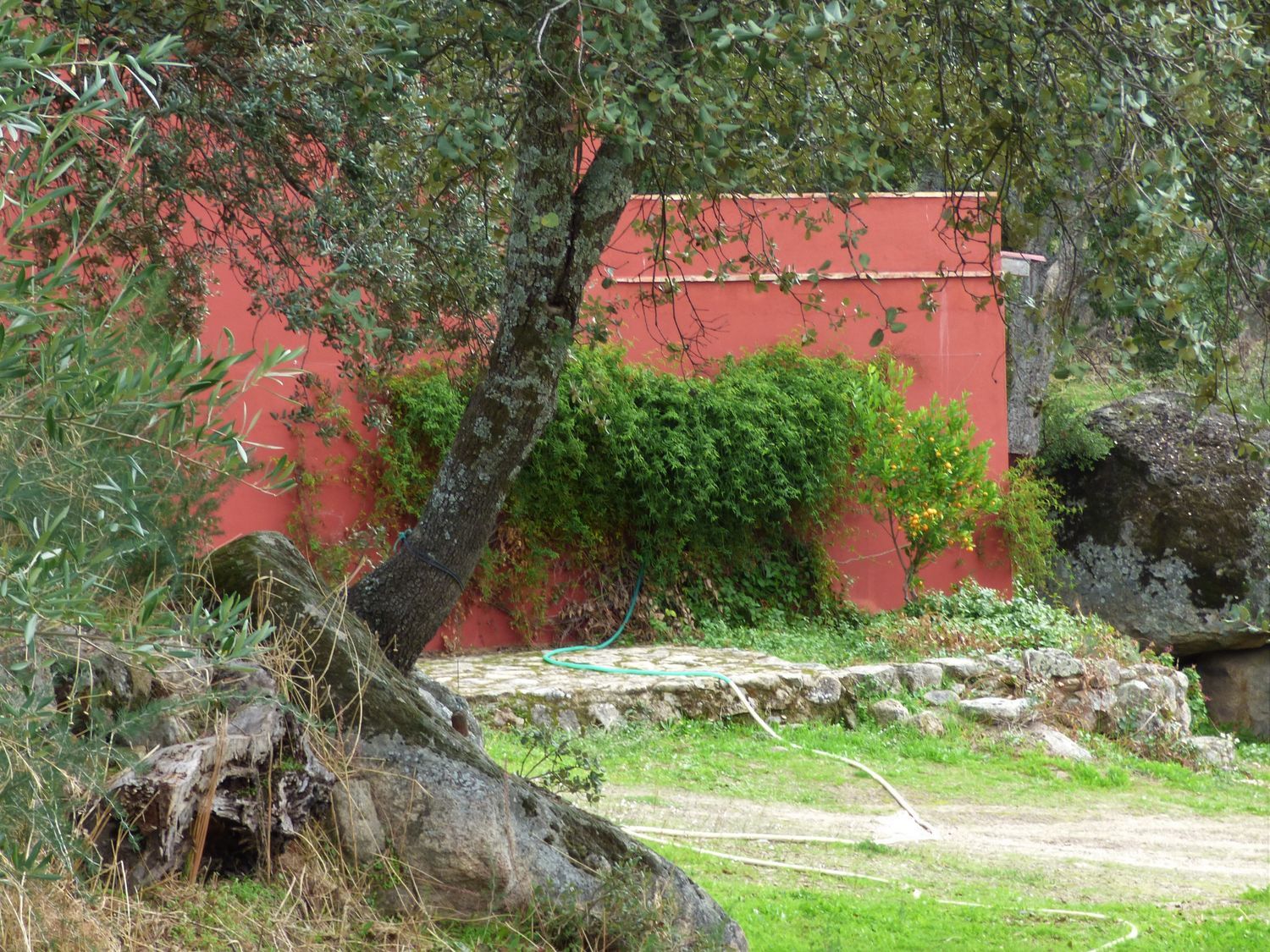 Cortijo en Cortijo en Carretera Albalá del Caudillo s/n - Foto 16