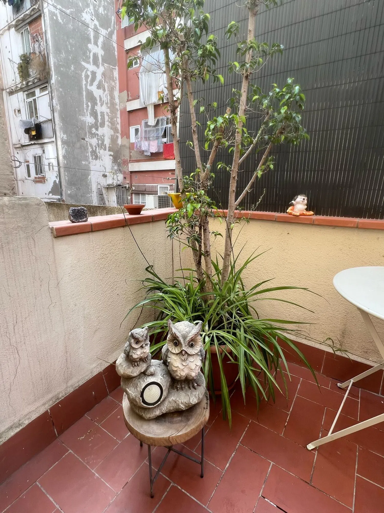Piso en calle del Roser, 44 - Foto 11