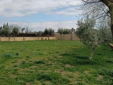 Finca rústica en  Camino Alcornocal 361 - Foto 4