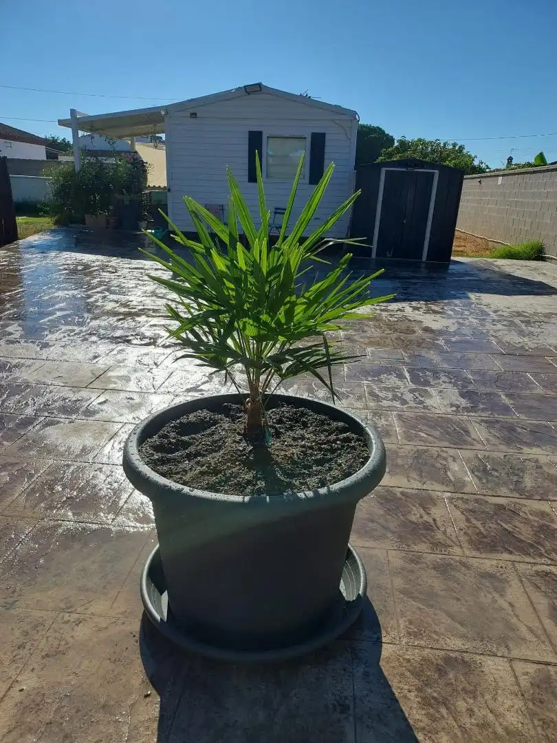 Chalet en  Camino del Sotillo 51 - Foto 3