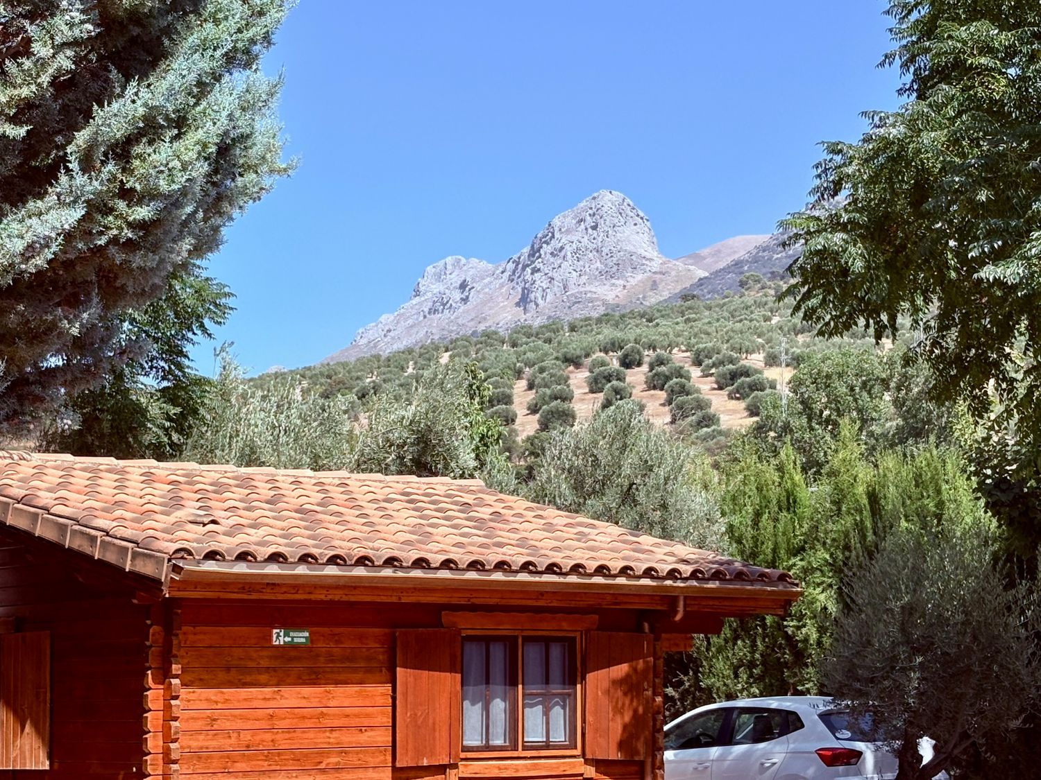 Casa rural en Camino de Albarrate, 216, El Torreón - Cortijo Pretel - Foto 12
