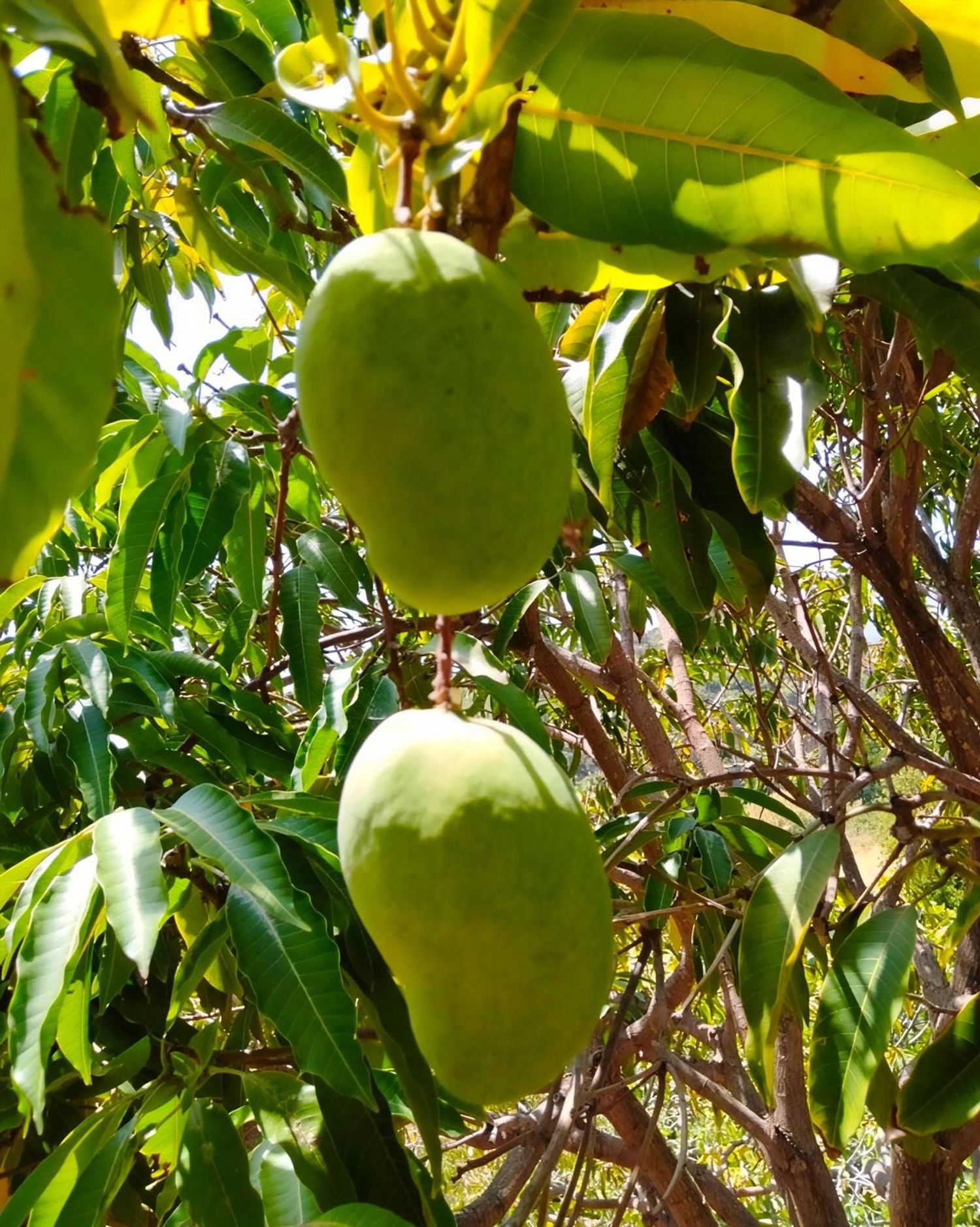 Casa independiente en Carretera, 188 - Foto 34