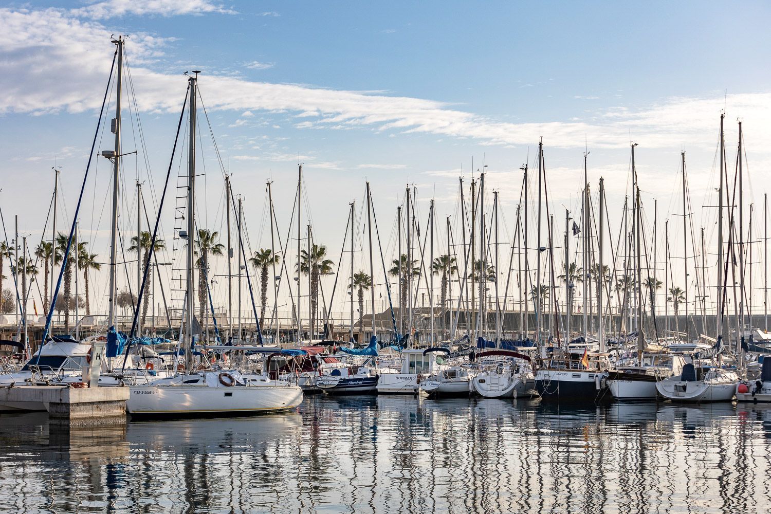 Piso en Paseo Del Mare Nostrum - Foto 43