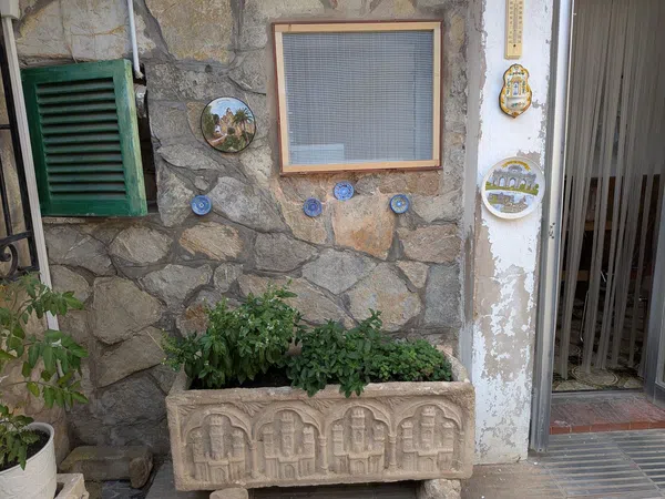 Chalet adosado en Calle de Jordi Martí Rosselló, 8, Camp Redo - Foto 28