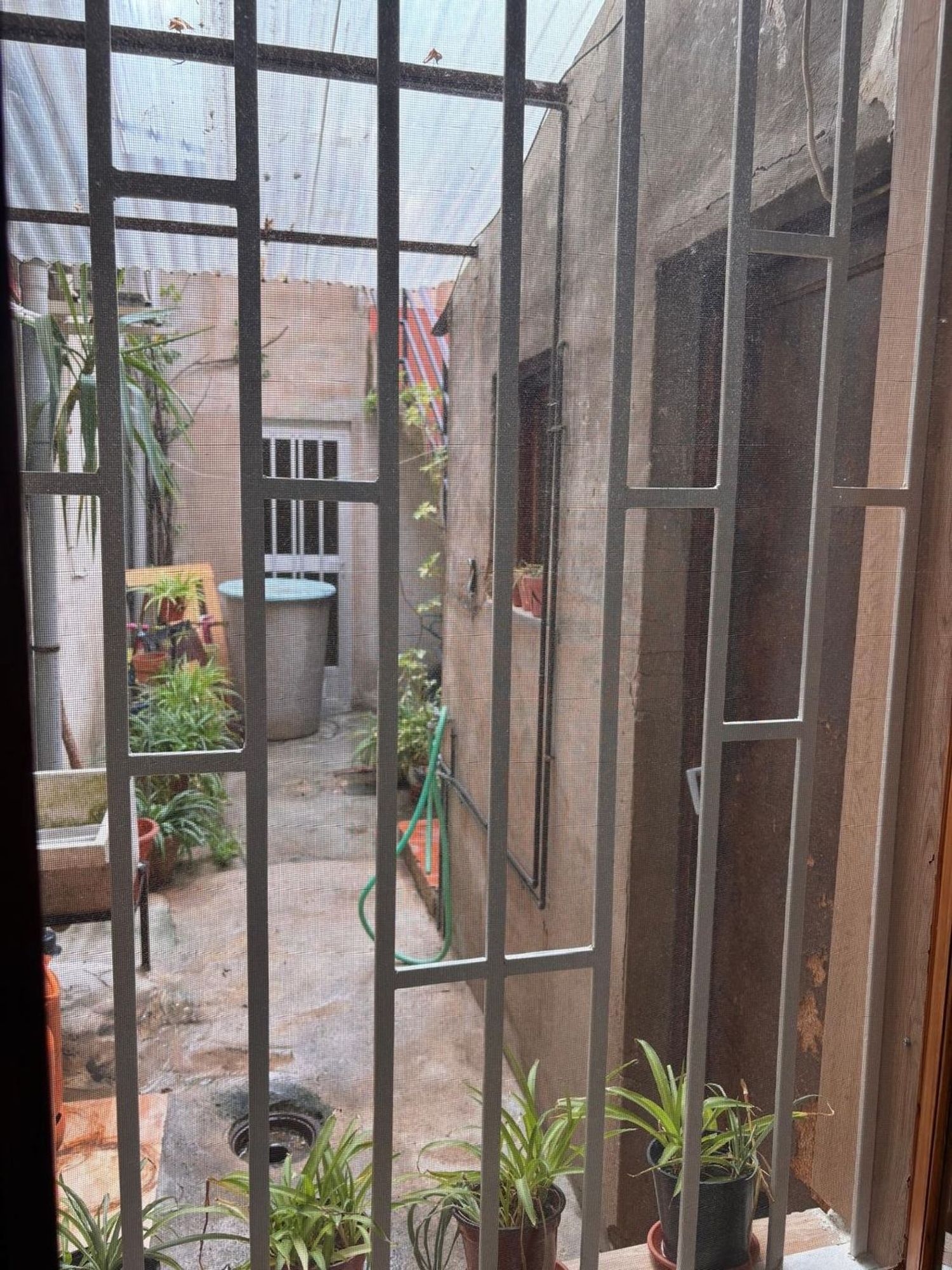Chalet adosado en Calle Honda, 12, La Ñora - Foto 3