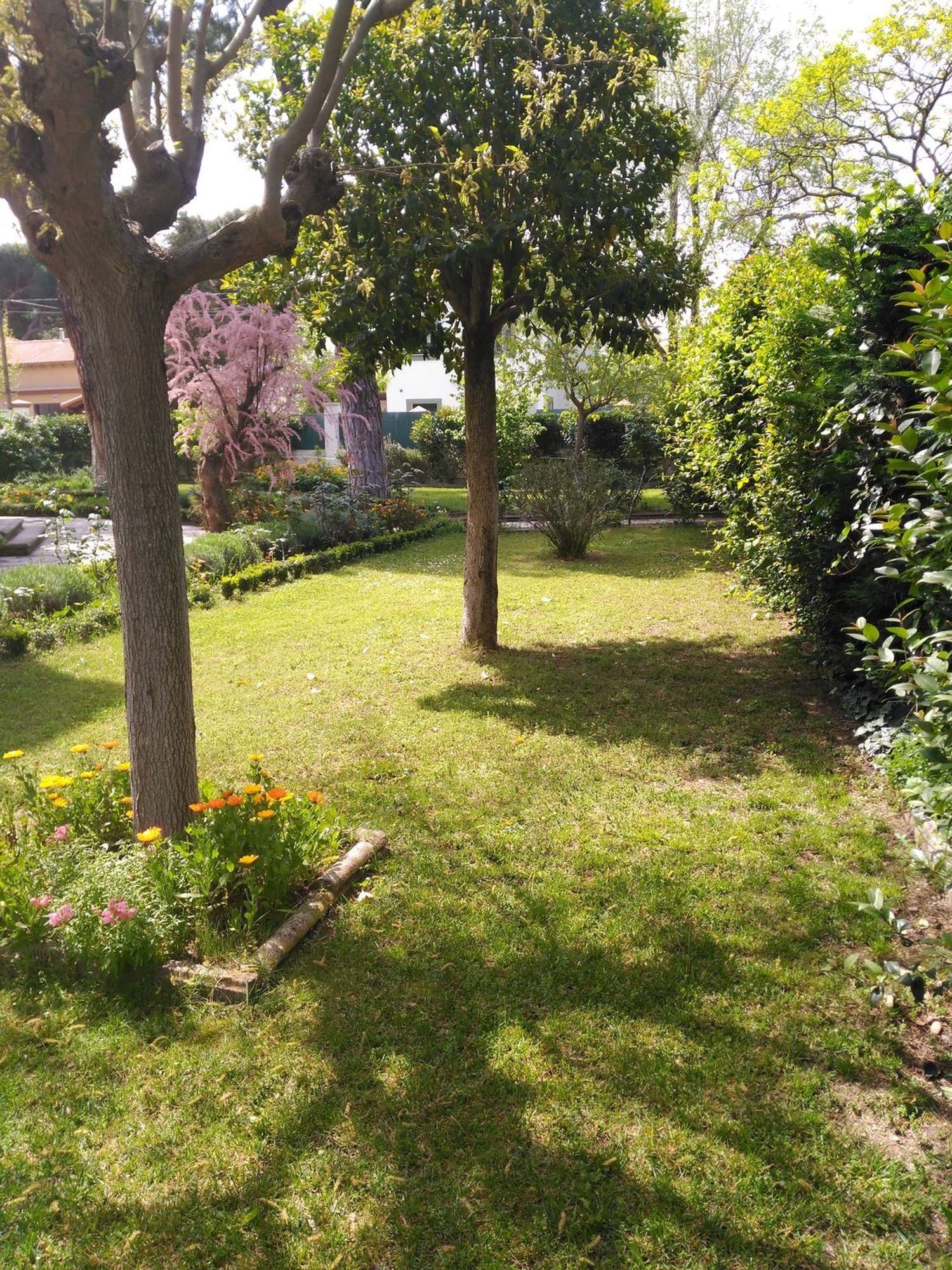Casa o chalet independiente en Calle Estio, 7, Arcas Reales - Pinar del Jalón, Arcas Reales - Pinar del Jalón - Foto 11