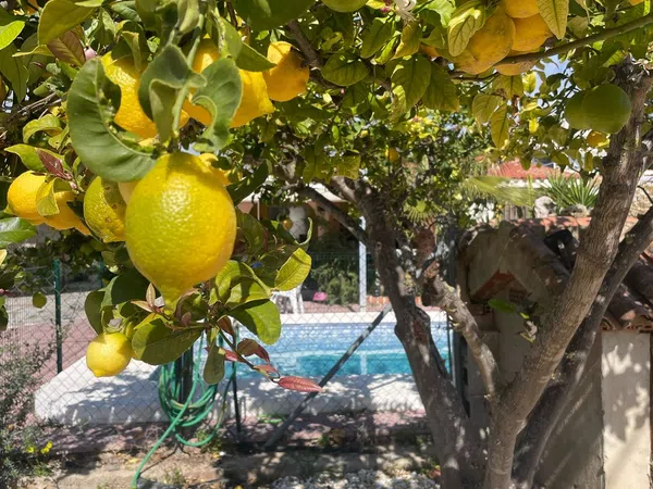 Casa o chalet independiente en Urbanización Albir Zona 2, 133 - Foto 9