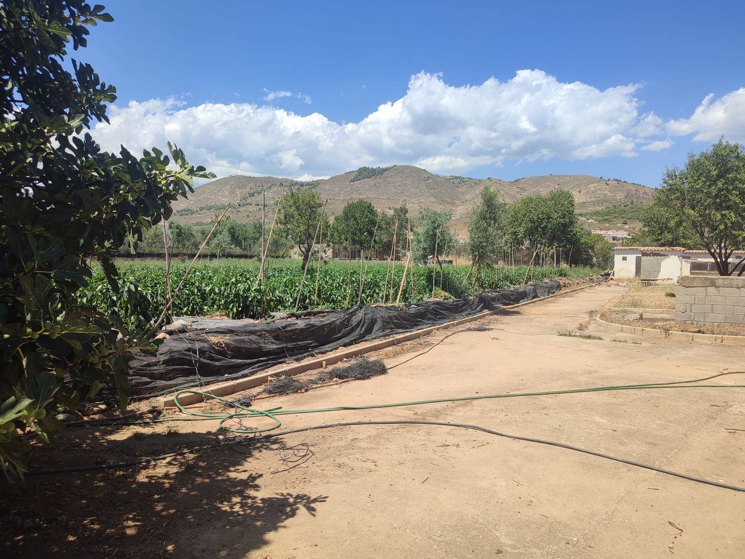 Finca rústica en La vega s/n - Foto 9