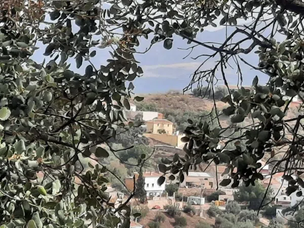 Casa rural en Barriada Ventorros, 18 - Foto 12