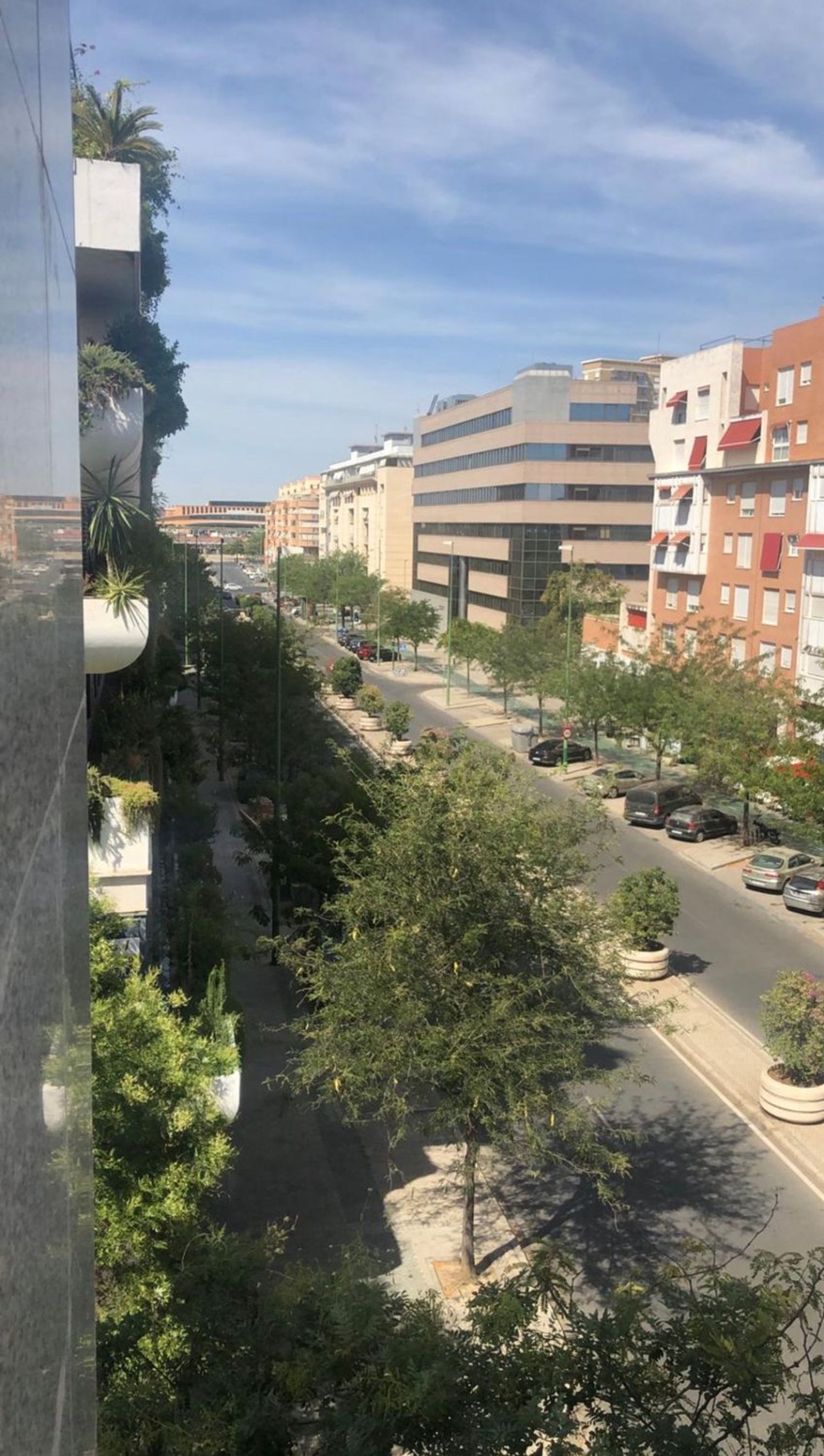 Piso en avenida de la Buhaira, 18 - Foto 25