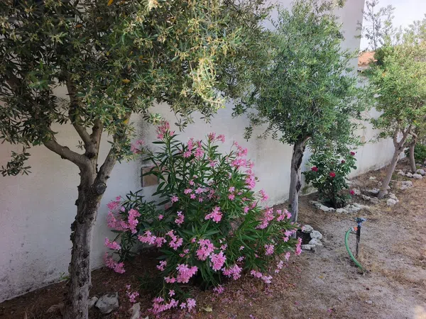 Casa de pueblo en Calle Cantarranas, 10 - Foto 31