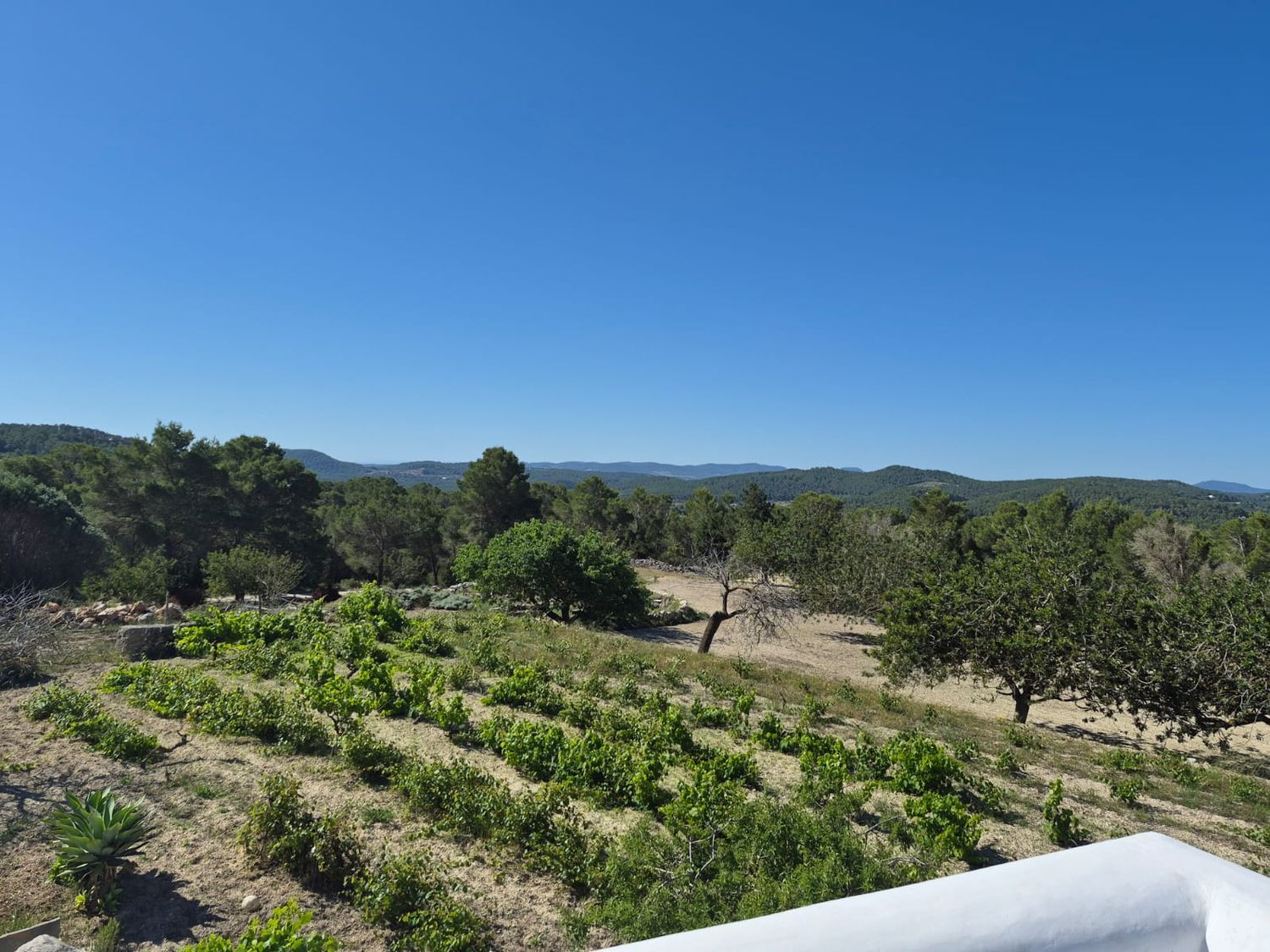 Casa rural en Diseminado Gelabert, 41, Santa Agnés de Corona - Sant Mateu d'Albarca, Santa Agnés de Corona - Sant Mateu d'Albarca - Foto 23