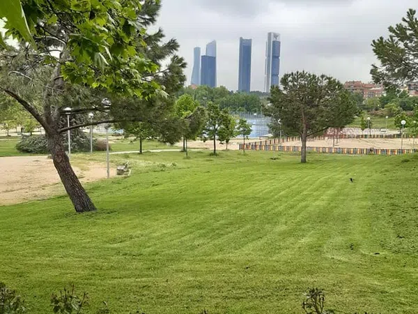 Dúplex en Barrio Berruguete - Foto 12