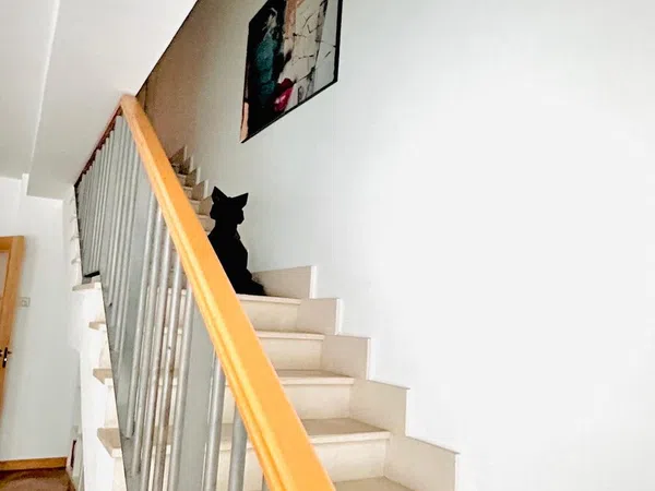 Dúplex en avenida de la Constitución, 135 - Foto 12