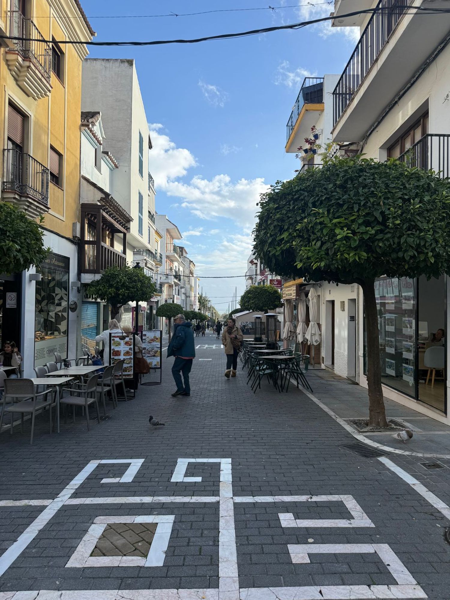 Local en Avenida Marqués del Duero, 36, San Pedro Pueblo - Foto 8