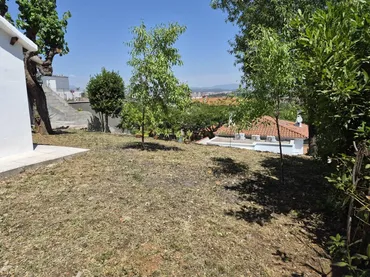 Chalet en  Paseo Camelias - Foto 44