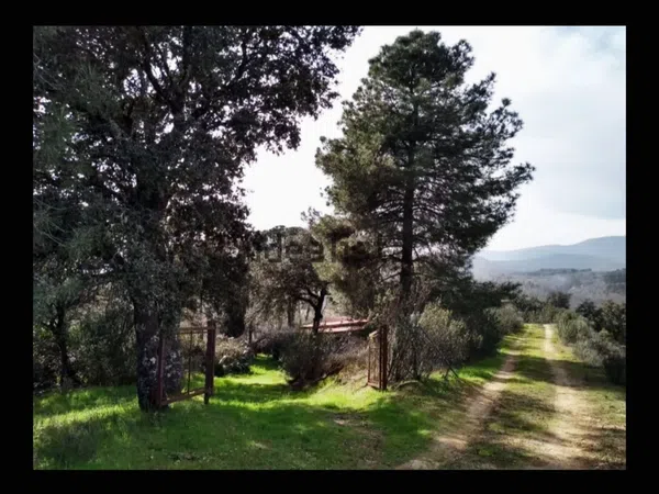 Finca rústica en CL 501km 5, 5 - Foto 4