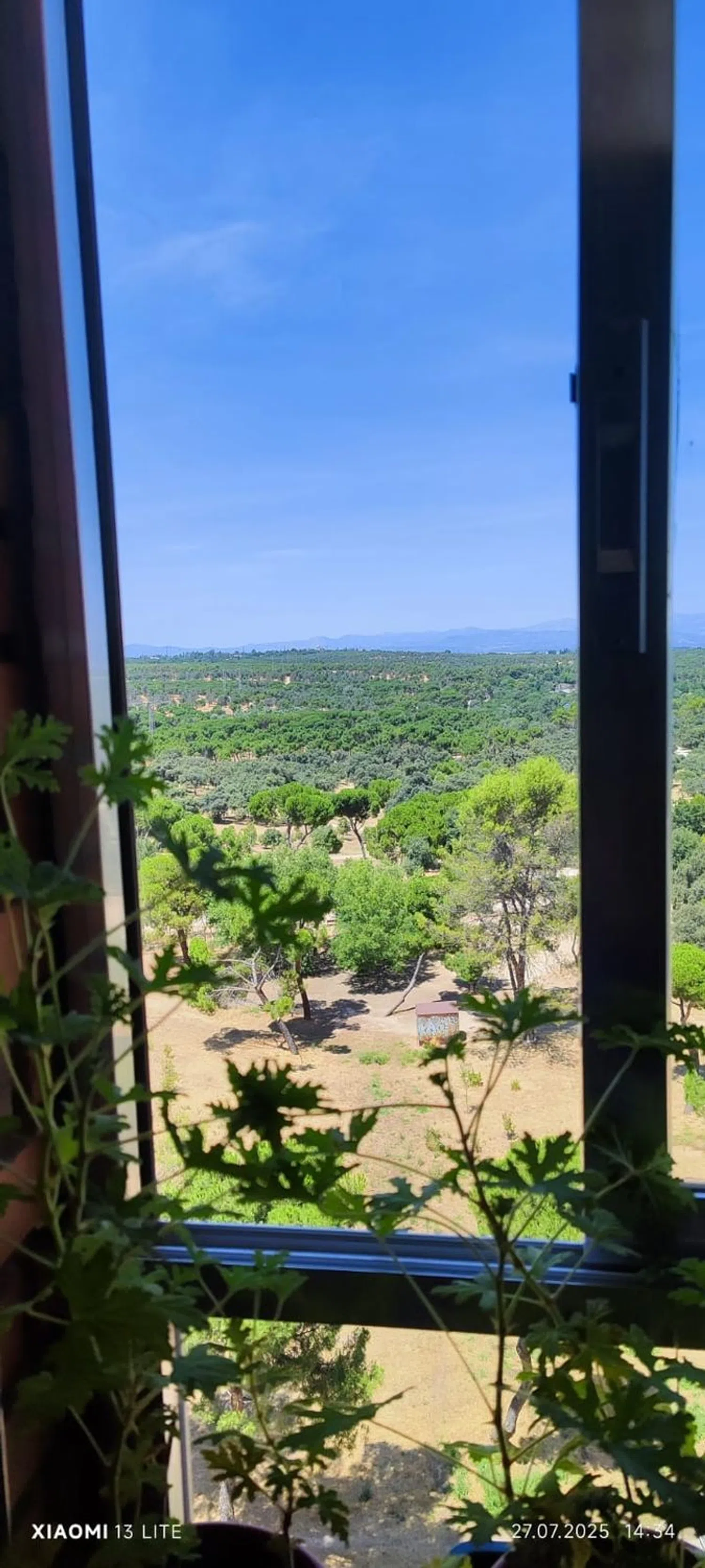 Estudio en cuart de poblet, 11 - Foto 6