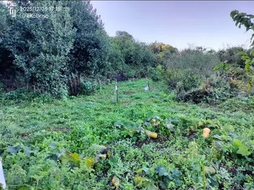 Finca rústica en  Pista La Cancela 97 - Foto 7