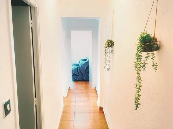 Piso en Calle n'Emili Llopis, 21, Centro - El Castillo, Centro - El Castillo - Foto 7