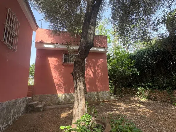 Casa o chalet independiente en Calle Chalets Baldío, 39 - Foto 17