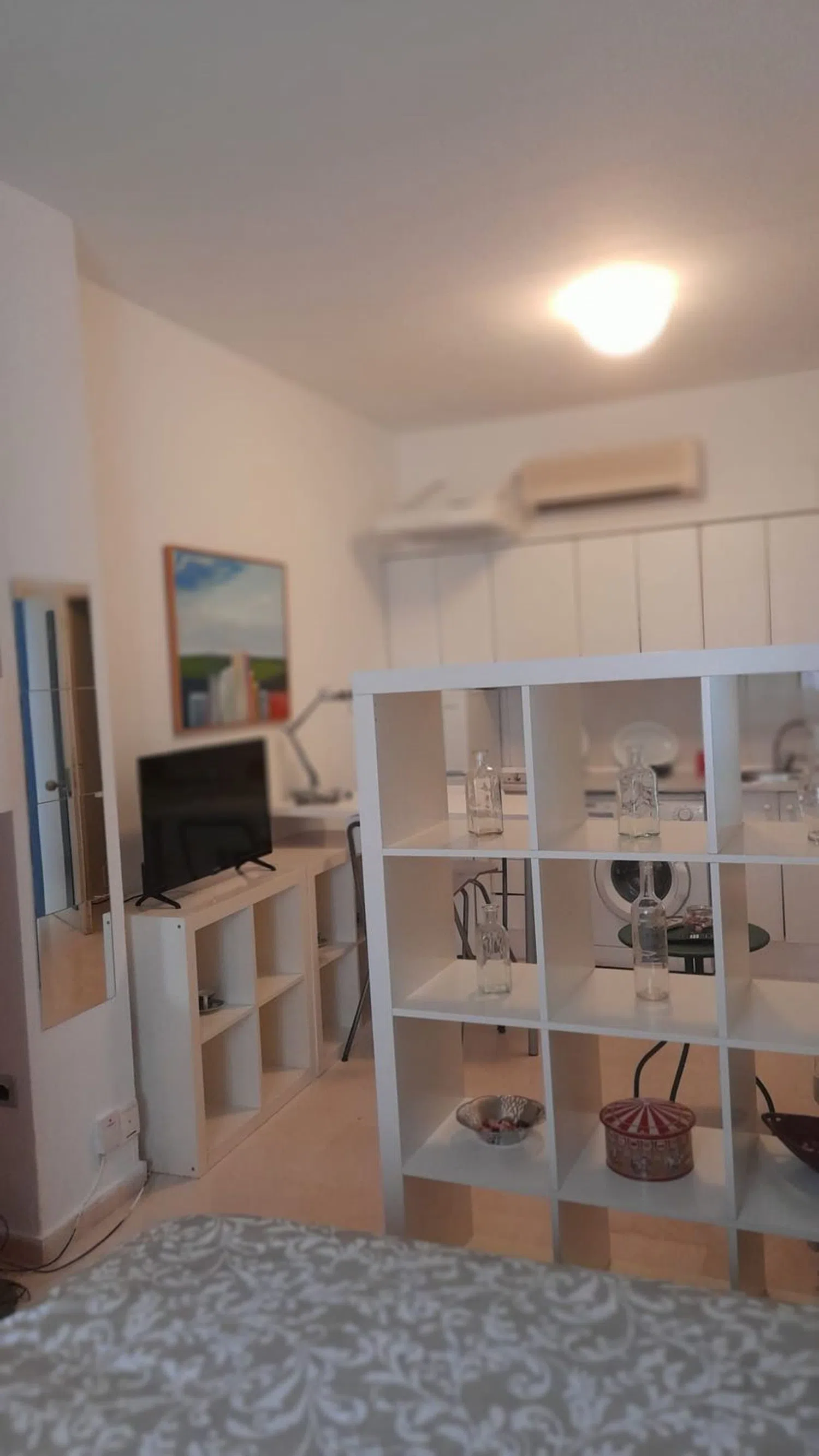 Estudio en calle Monte Carmelo, 37 - Foto 2