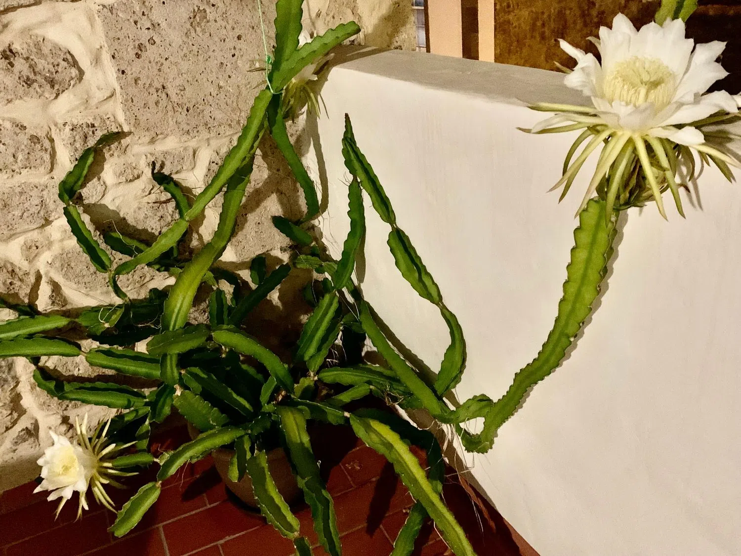 Chalet adosado en calle Sor Brígida Castelló, 20 - Foto 39