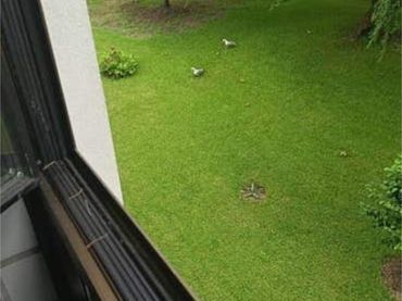 Piso en Coia - Foto 5