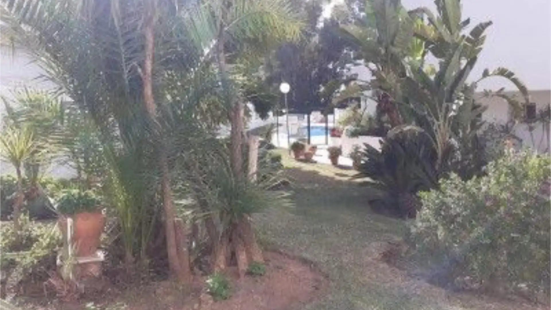 Piso en  Calle Orquídea 4 - Foto 3