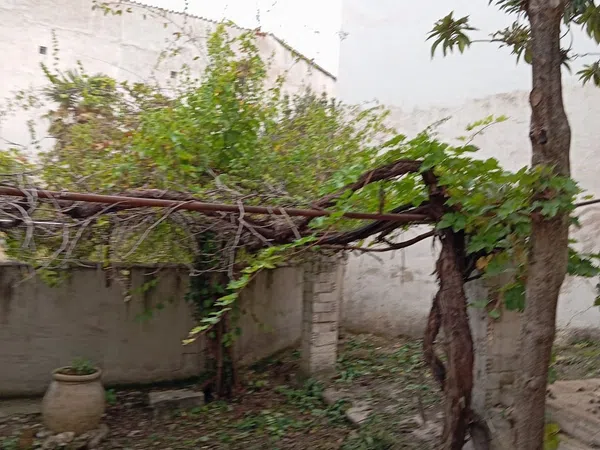 Casa de pueblo en Calle Mariano Foronda, 20 - Foto 8