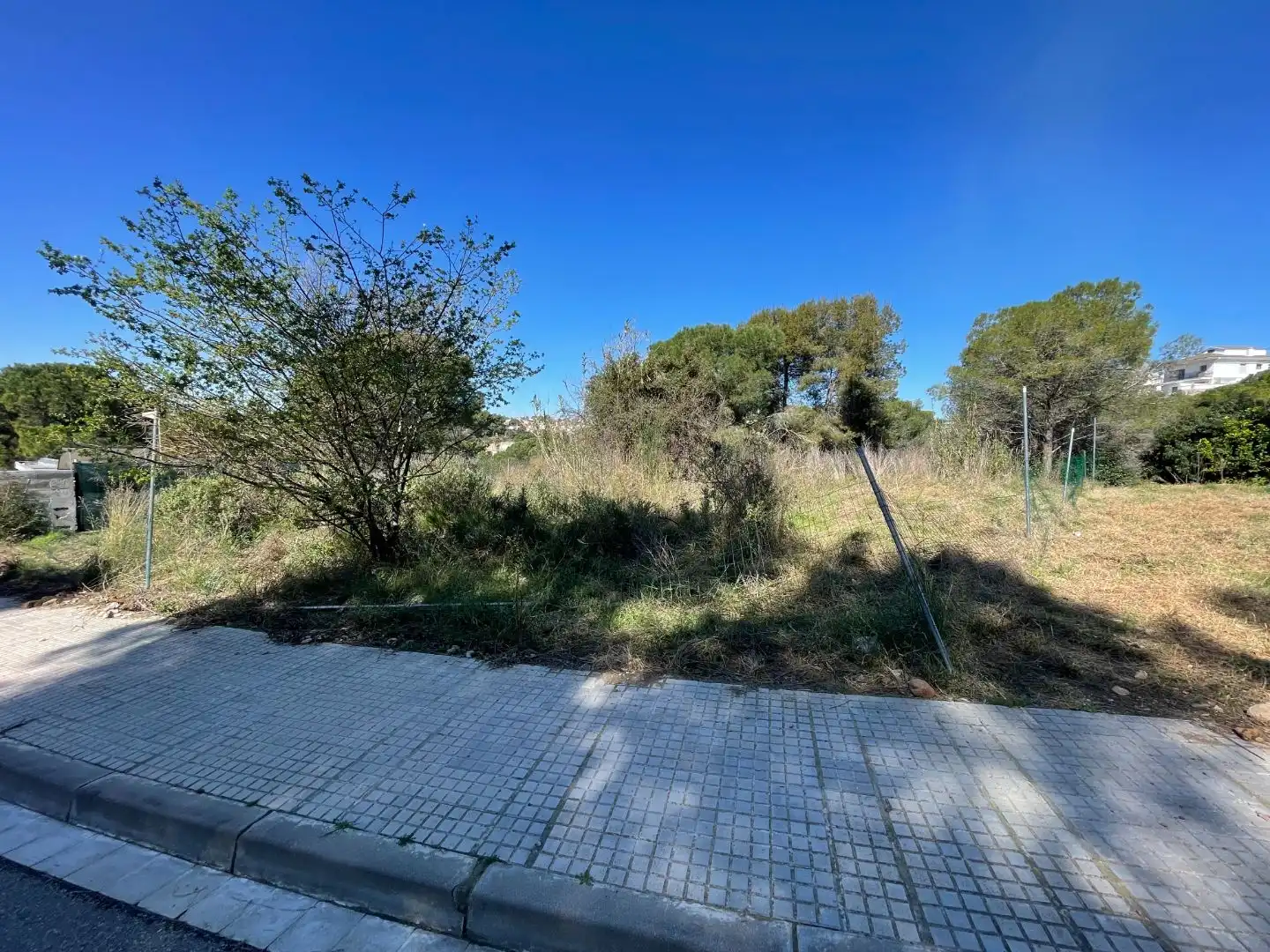Terreno Residencial en  Carrer de Hermann Hesse 20 - Foto 2