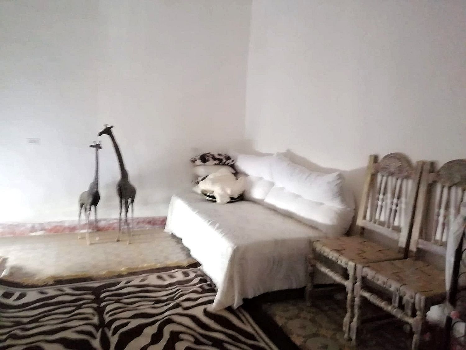 Casa independiente en calle Gallardo, 10 - Foto 6