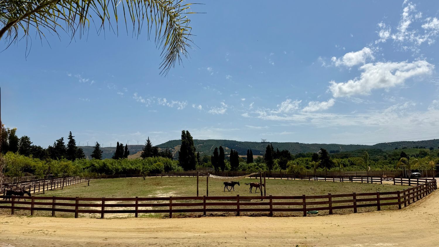 Cortijo en Cortijo en Ca-8200, 8200 Ca-8200 - Foto 4