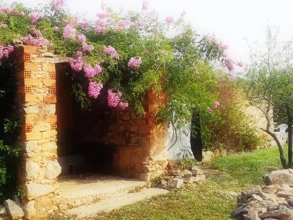 Finca rústica en Carretera de Vilafamés a Costur, 3 kilometro - Foto 3