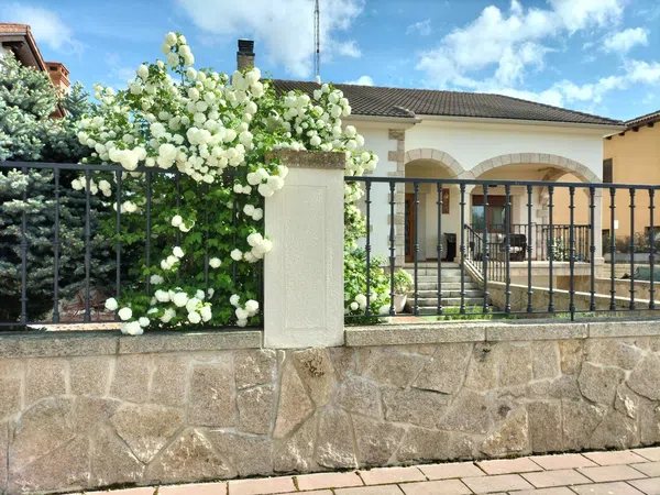 Casa o chalet independiente en Calle Haití, 5 - Foto 2