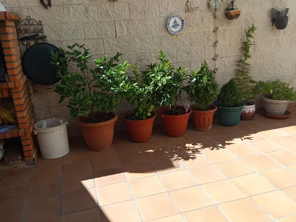 Casa de pueblo en Calle Coso s/n - Foto 18