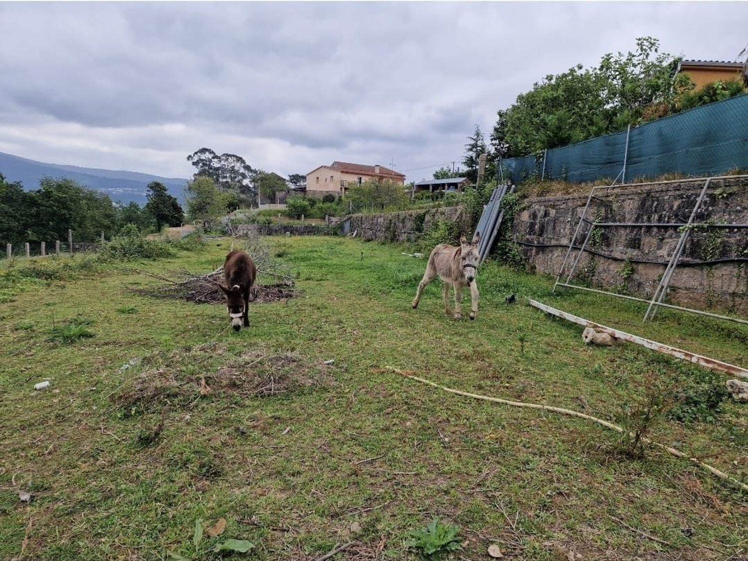 Casa rural en Carril Lugar, 28 - Foto 18