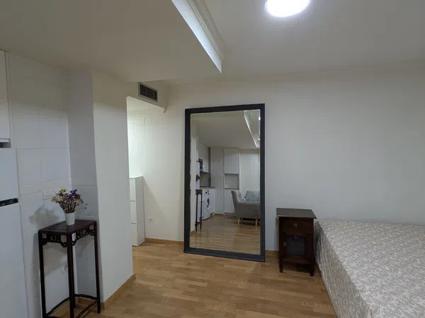 Estudio en Calle Jovellanos, 6, Perchel sur - El Bulto - Foto 4