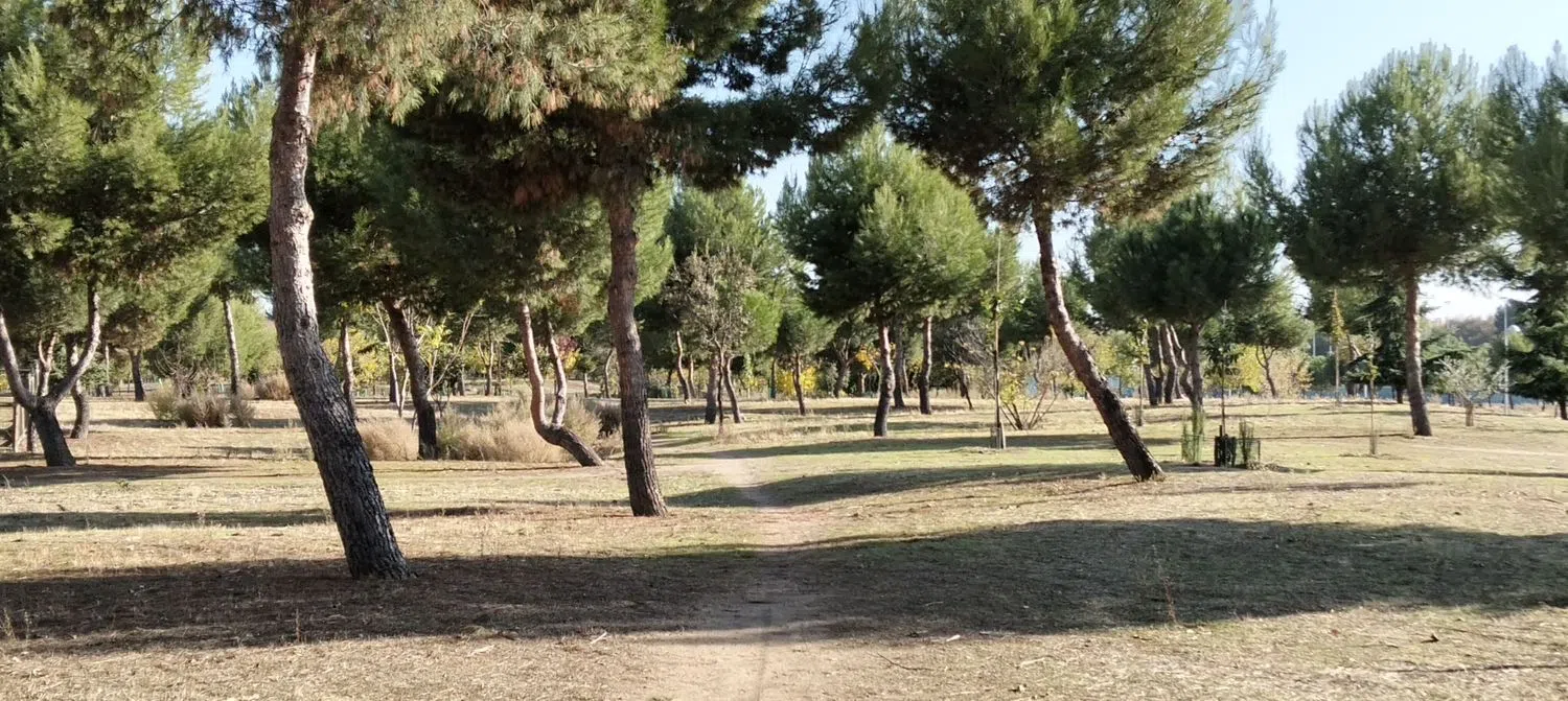 Chalet pareado en calle Tramontana, 16 - Foto 30