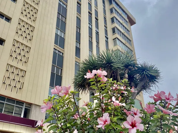 Piso en Avenida Alcalde José Ramirez Bethencourt, 23, Arenales - Lugo - Avda Marítima - Foto 1