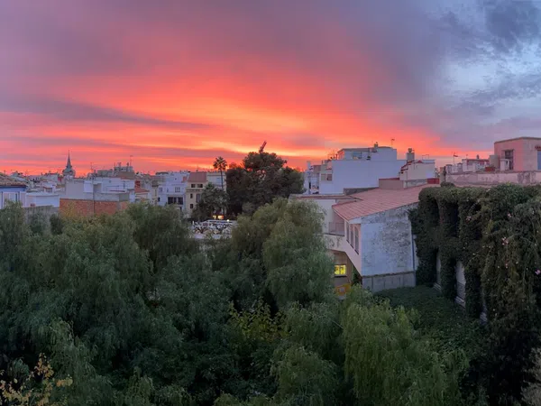 Estudio en calle de les Ànimes, 11 - Foto 7