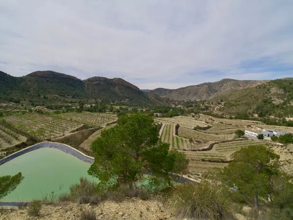 Casa independiente en Partida Almadrava, 1 - Foto 29