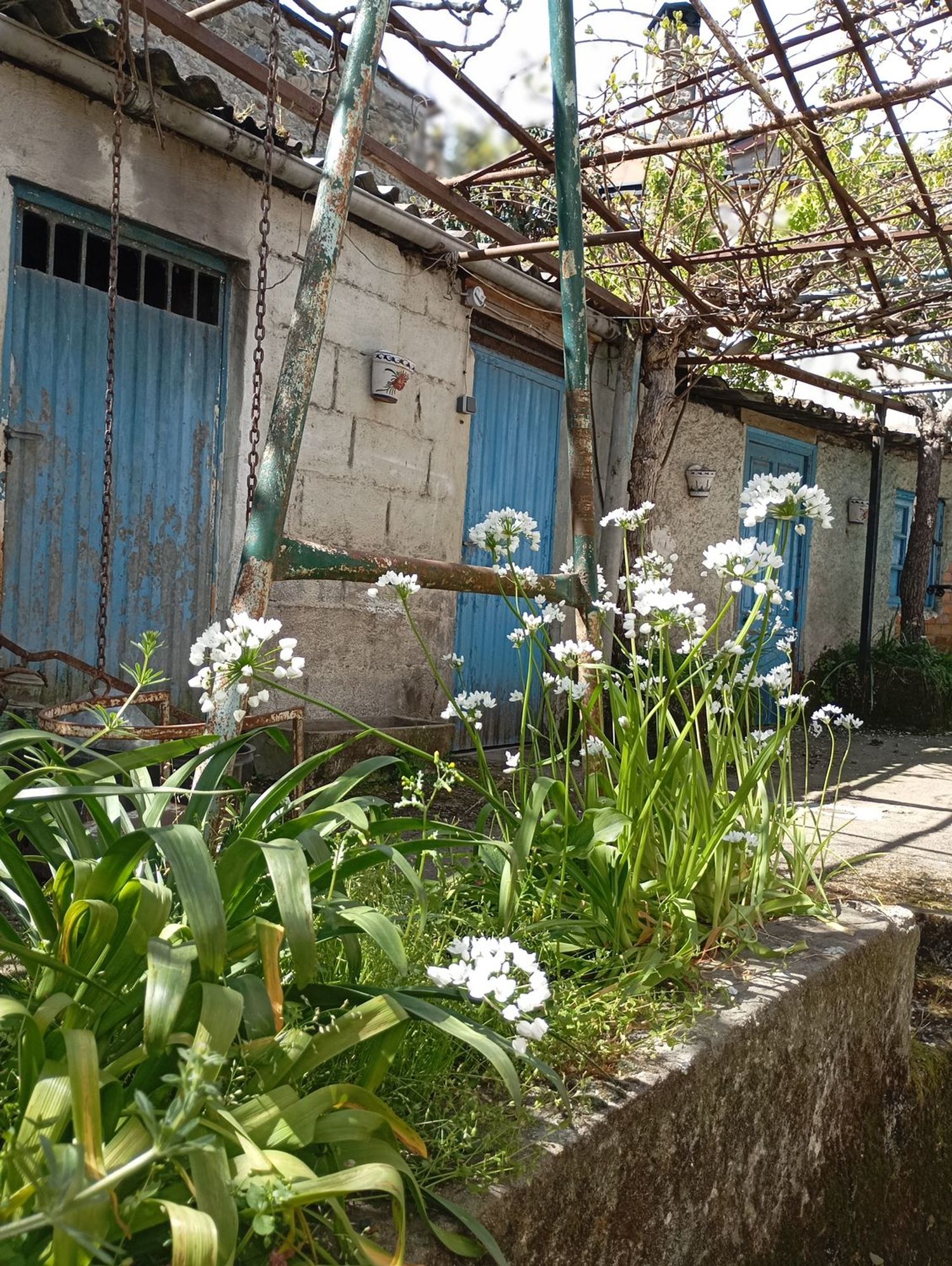 Casa de pueblo en Calle Igrexa Viloira, 15 a - Foto 6