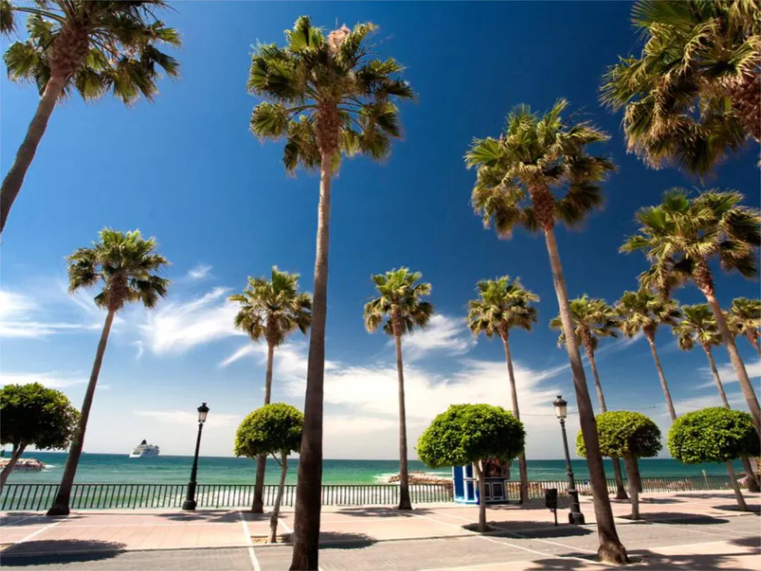 Piso en  Avenida Conde Rudi 2 - Foto 17