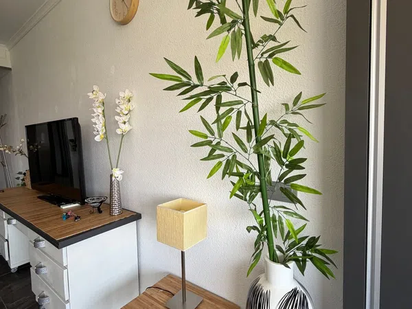 Estudio en Avenida Marbella Arbolada, 2, Romana Playa - Foto 32